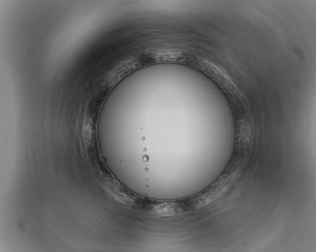 X0000112860761200908281604