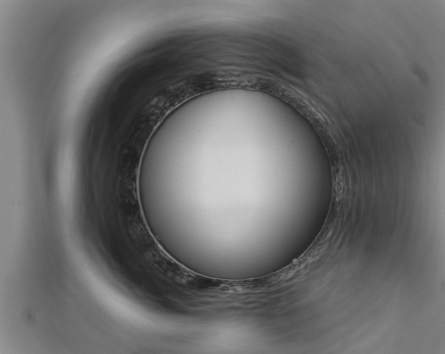 X0000112860764200908281604
