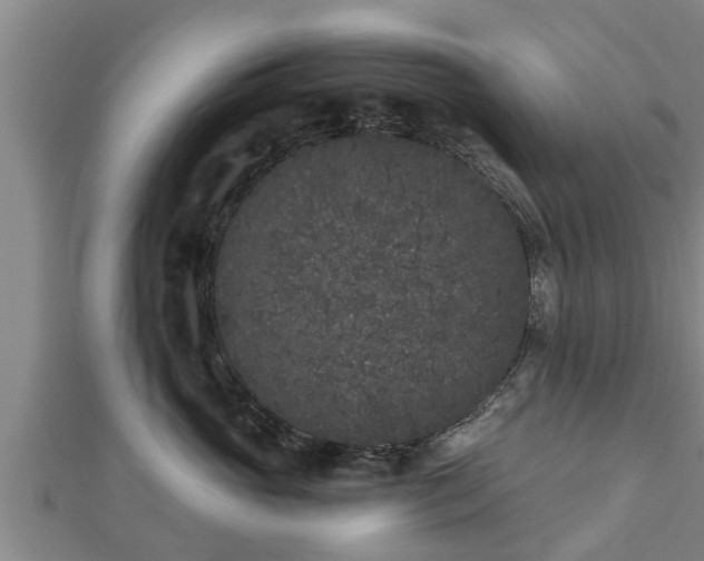 X0000112860765200908281604