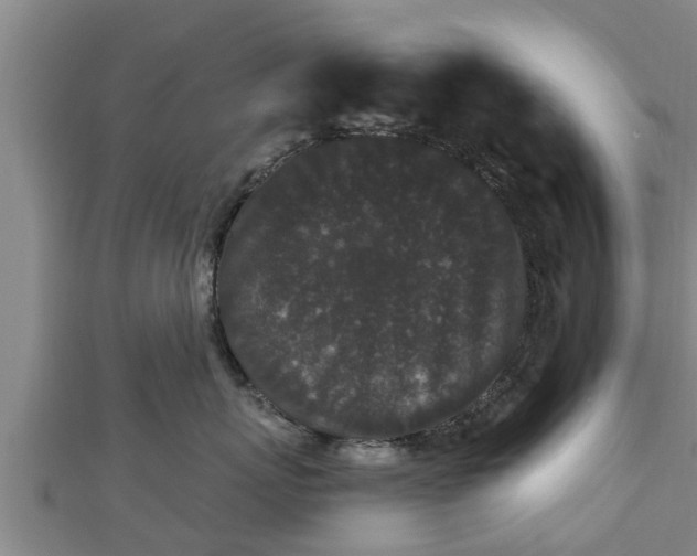 X0000112860767200908281604