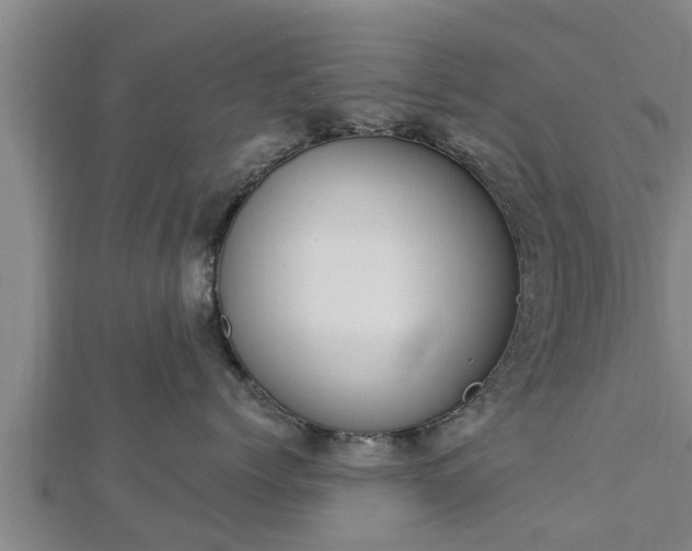 X0000112860768200908281604