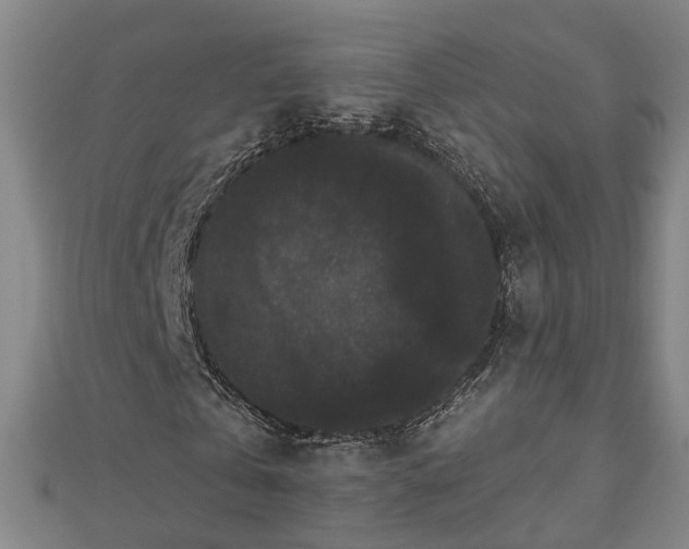 X0000112860769200908281603