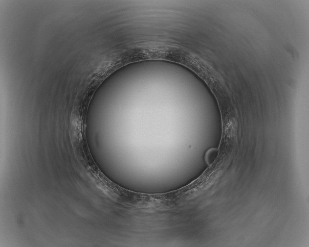 X0000112860772200908281603