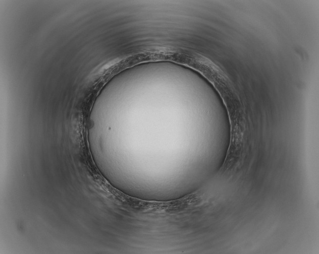 X0000112860773200908281603