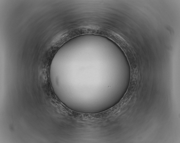 X0000112860774200908281603