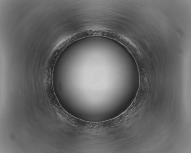 X0000112860775200908281603