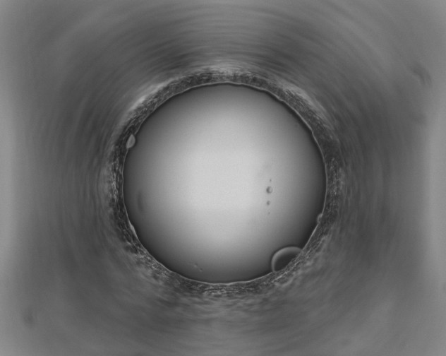 X0000112860776200908281603