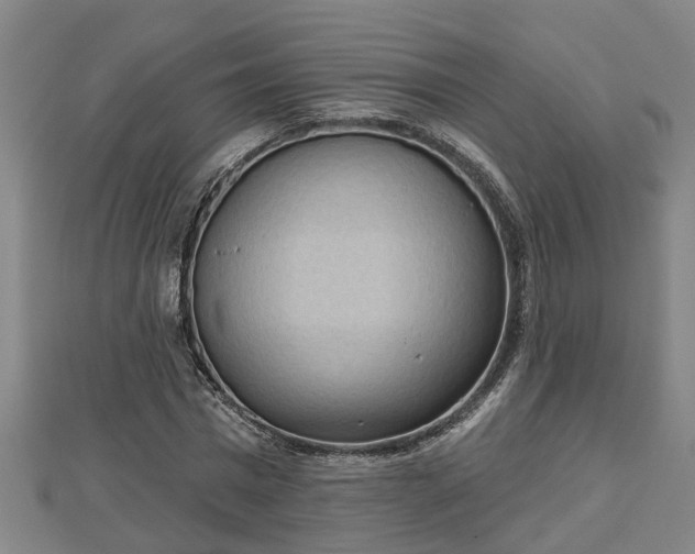 X0000112860777200908281603