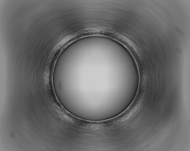 X0000112860778200908281603
