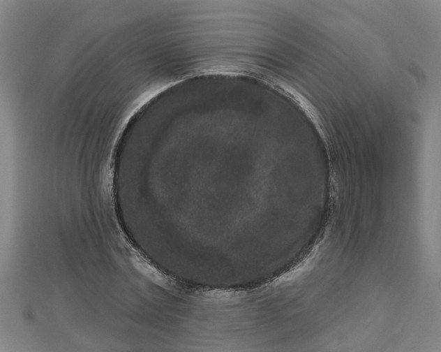 X0000112860779200908281603