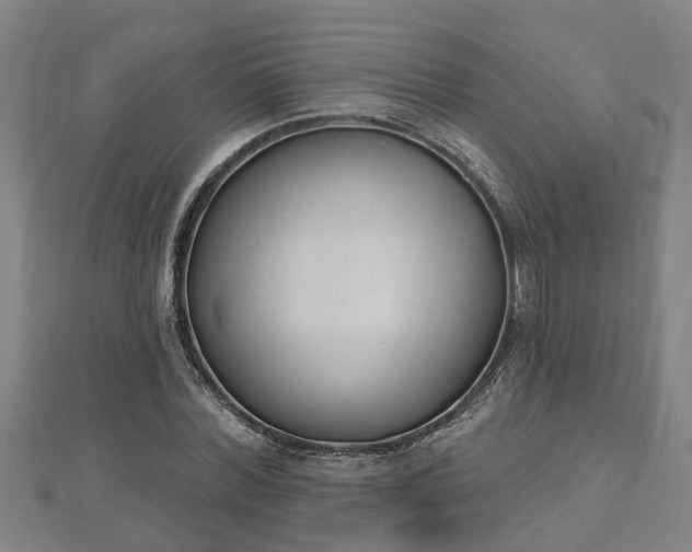 X0000112860780200908281603