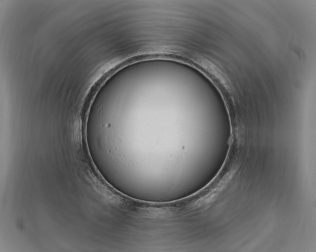 X0000112860781200908281603