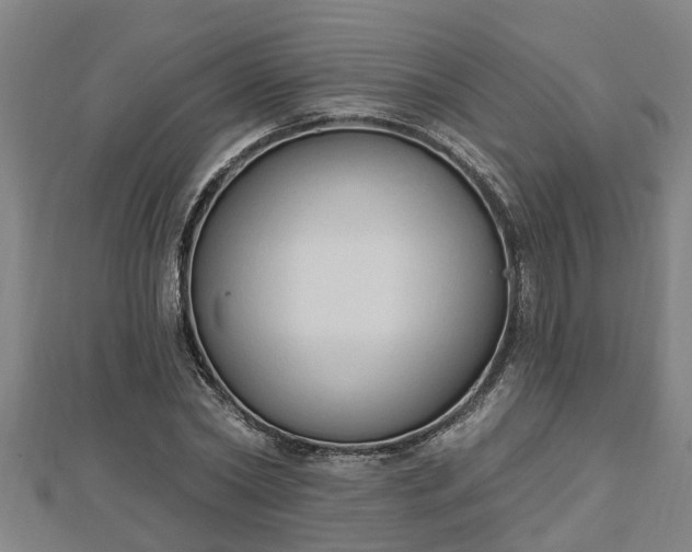 X0000112860782200908281603