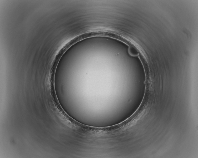 X0000112860783200908281603