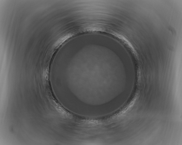 X0000112860785200908281603