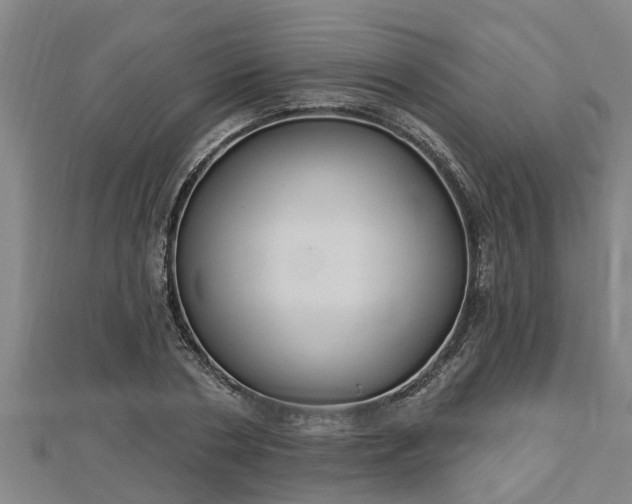 X0000112860786200908281603