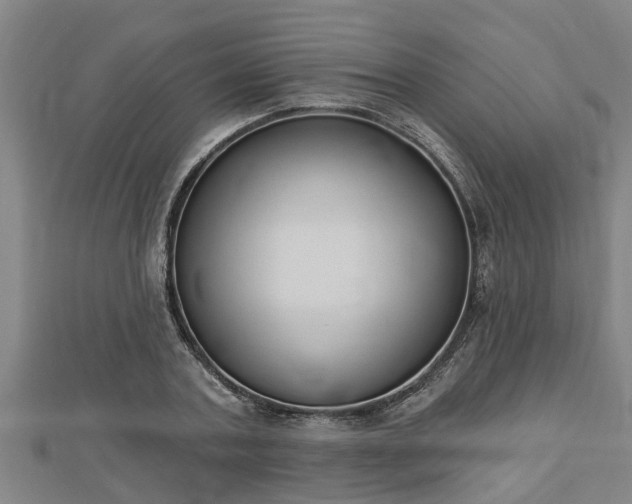 X0000112860787200908281603