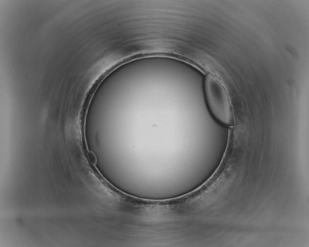 X0000112860789200908281603