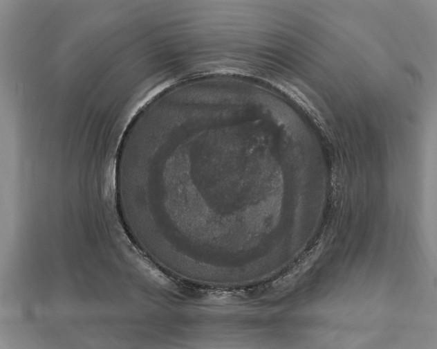 X0000112860790200908281603