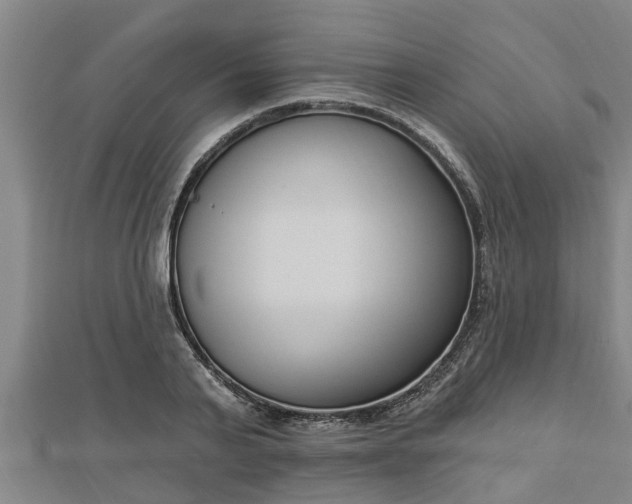 X0000112860791200908281603