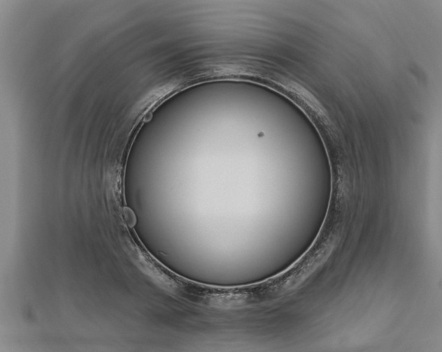 X0000112860793200908281603