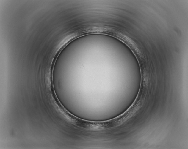 X0000112860794200908281603