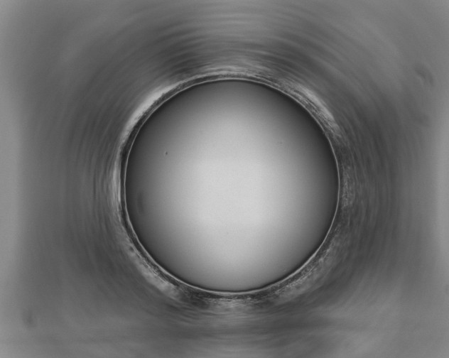 X0000112860796200908281603