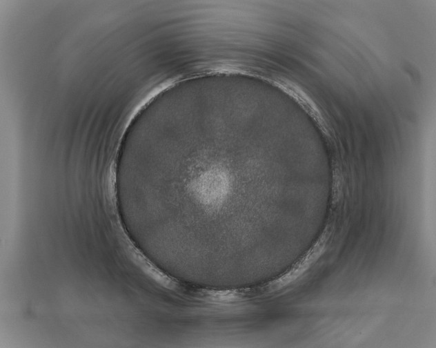 X0000112860798200908281603