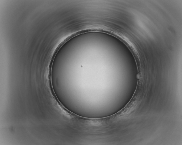 X0000112860799200908281603