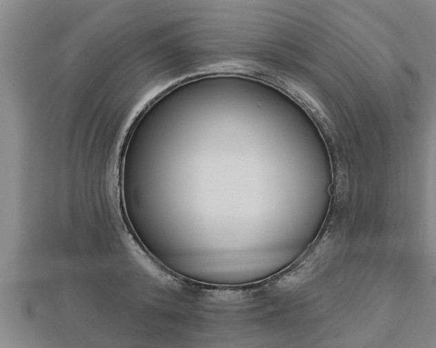 X0000112860800200908281603
