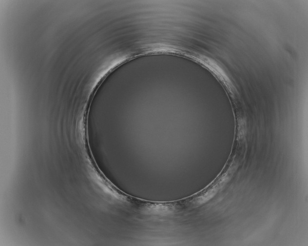 X0000112860806200908281603