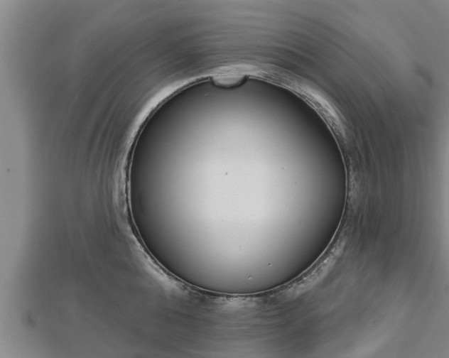 X0000112860808200908281603