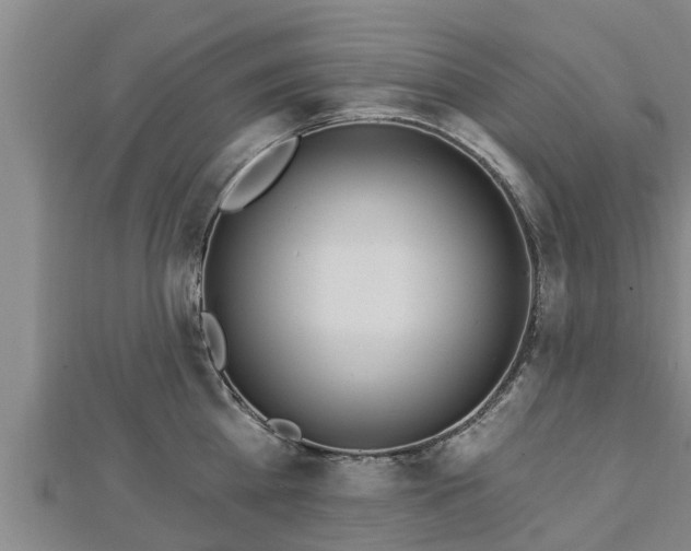 X0000112860809200908281602