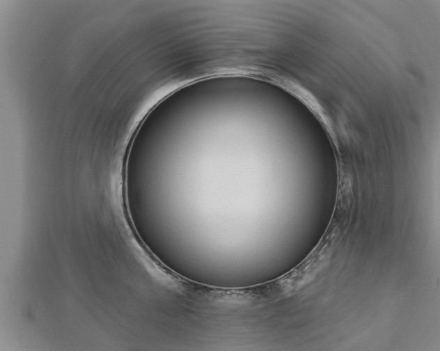 X0000112860811200908281602
