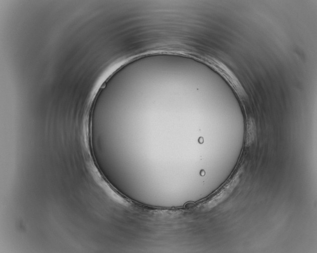 X0000112860812200908281602
