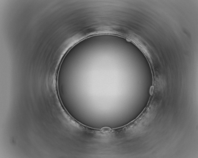 X0000112860813200908281602