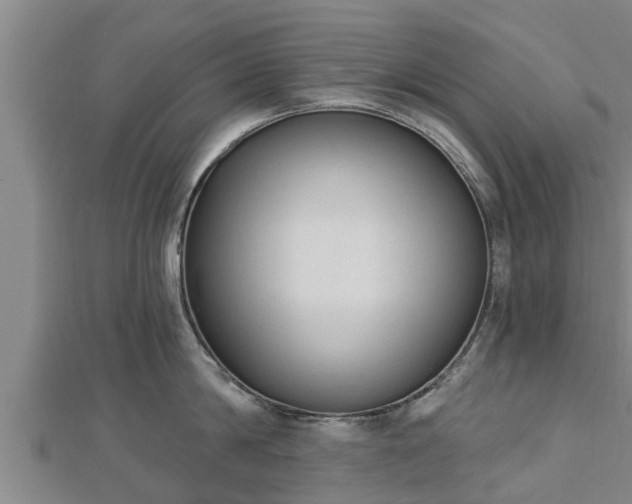 X0000112860814200908281602