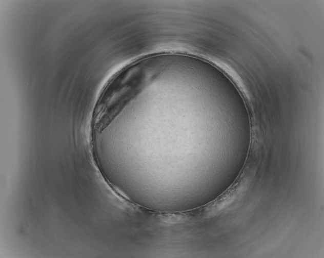 X0000112860815200908281602