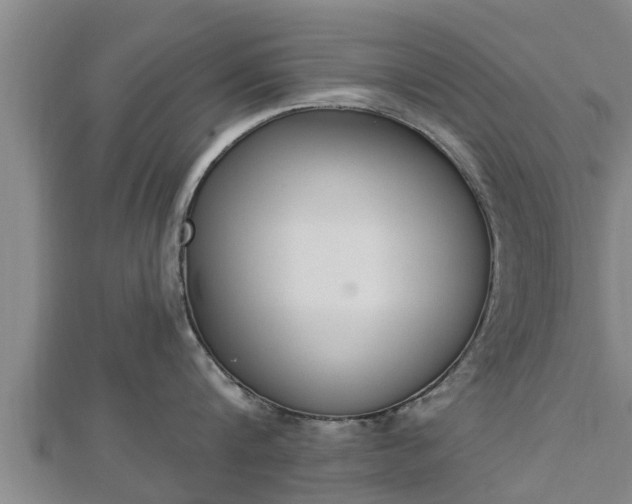 X0000112860816200908281602