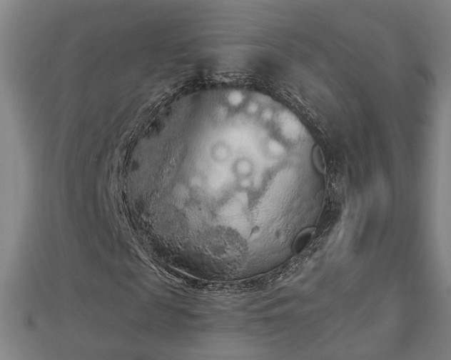 X0000112860817200908281602