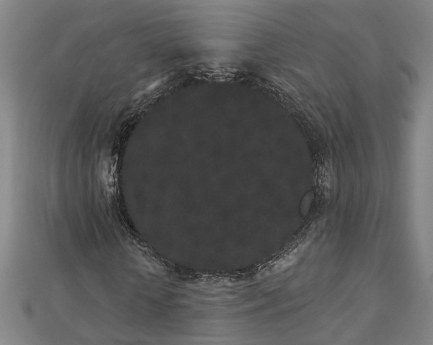 X0000112860818200908281602