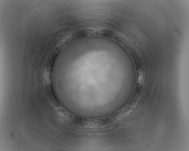 X0000112860819200908281602