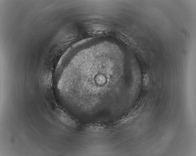 X0000112860820200908281602