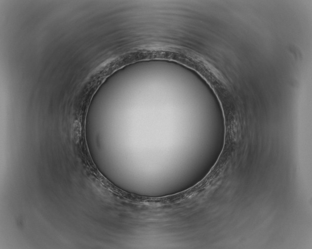 X0000112860821200908281602