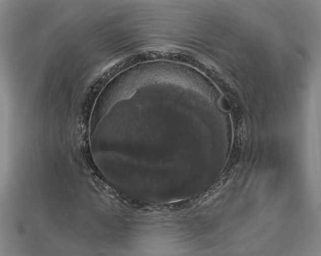 X0000112860822200908281602