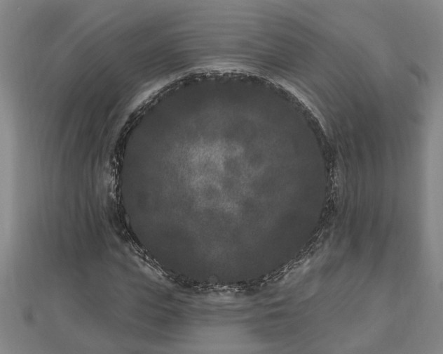 X0000112860823200908281602
