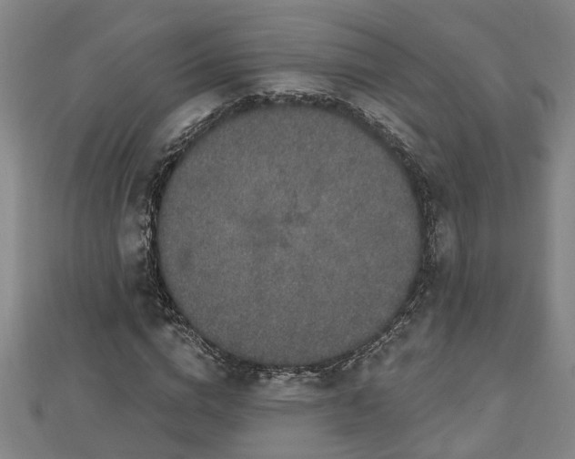 X0000112860824200908281602