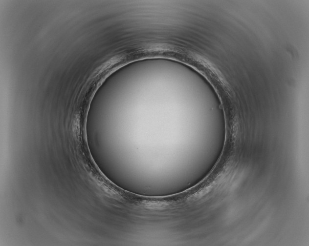X0000112860825200908281602