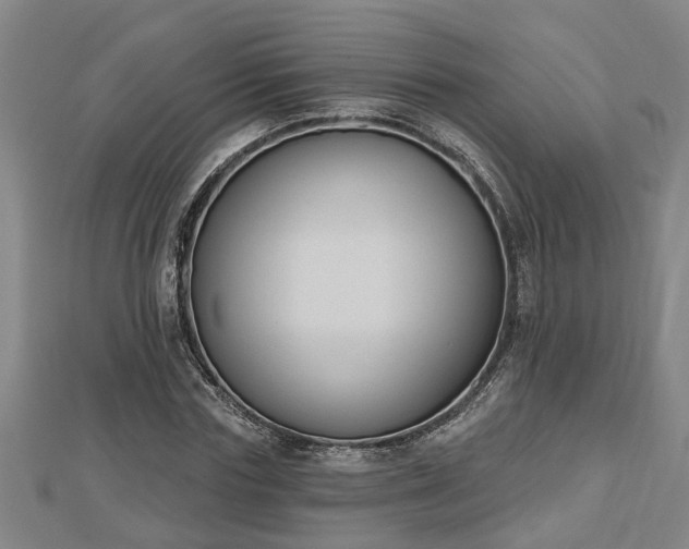 X0000112860827200908281602