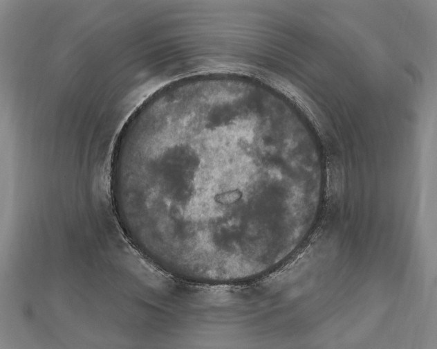 X0000112860828200908281602